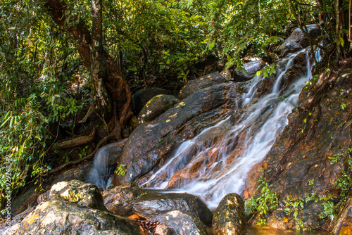 waterfall in the forest