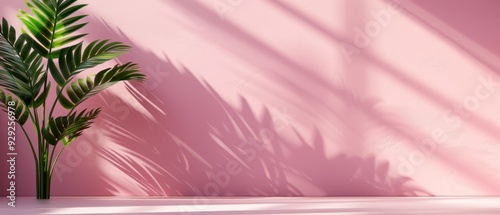  A potted plant before a pink wall with a prolonged palm tree shadow