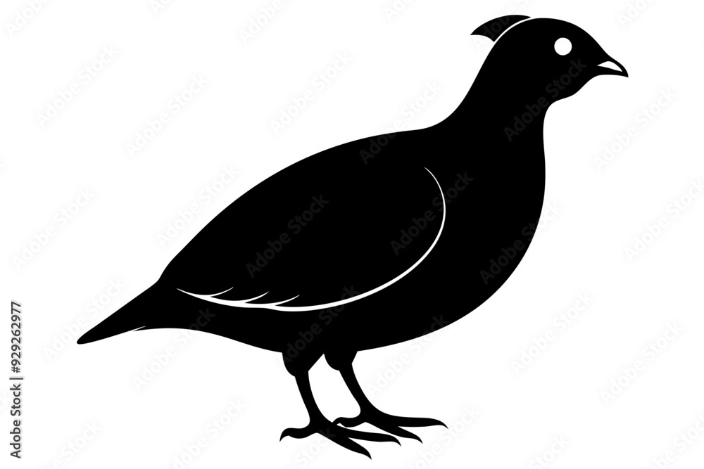 partridge vector silhouette, partridge bird icon vector illustration partridge vector silhouette, partridge bird icon vector illustration