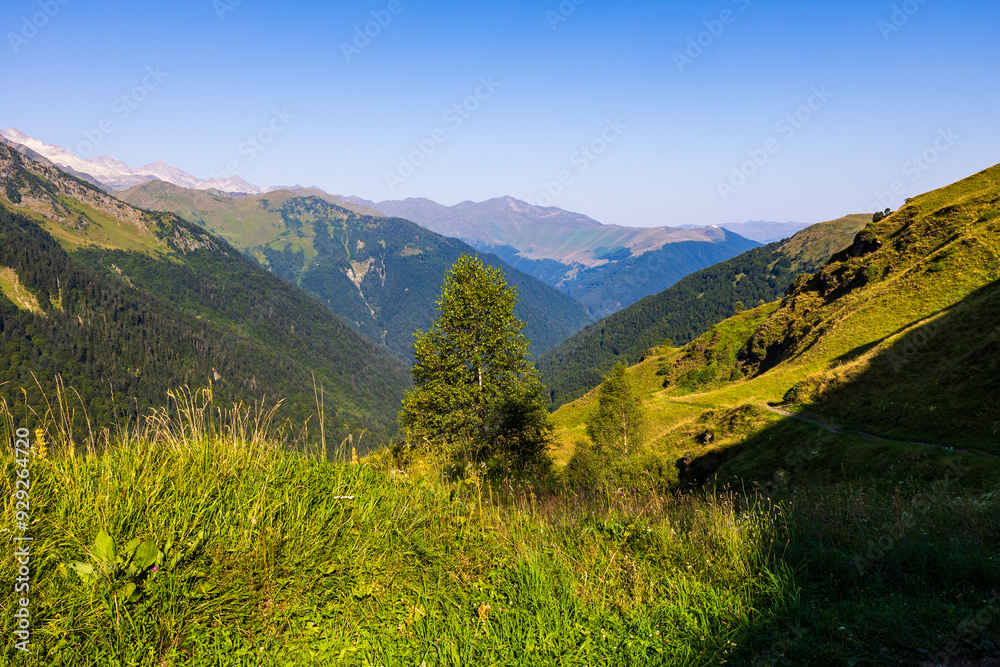 Panorama sur les Pyrénées françaises depuis le Plateau du Campsaure, à la frontière franco-espagnole Panorama sur les Pyrénées françaises depuis le Plateau du Campsaure, à la frontière franco-espagnole