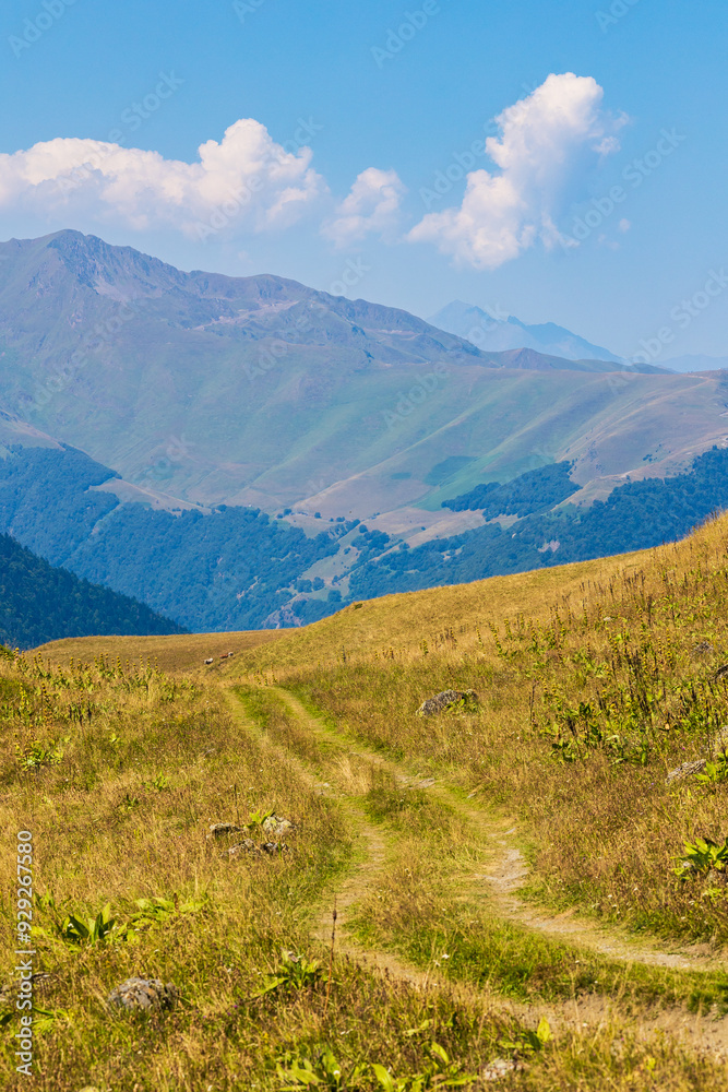 Fototapeta premium Panorama sur les Pyrénées françaises depuis le Plateau du Campsaure, à la frontière franco-espagnole
