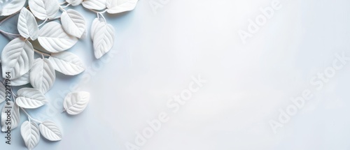  White leaves against a blue backdrop Insert text or image here ..Or, if you want to include the words card or brochure