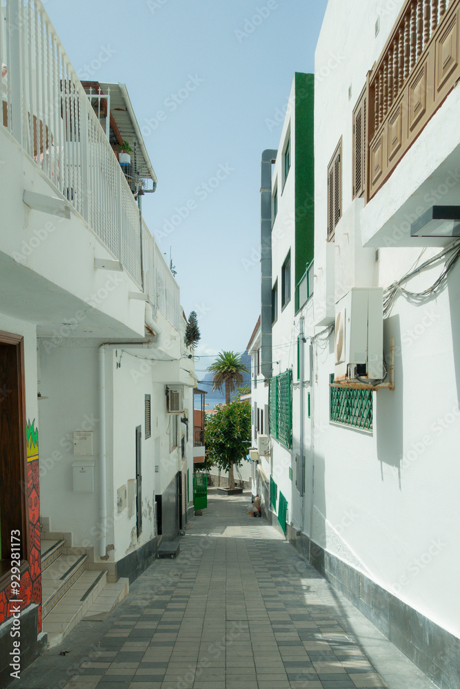 Fototapeta premium Tenerife 11