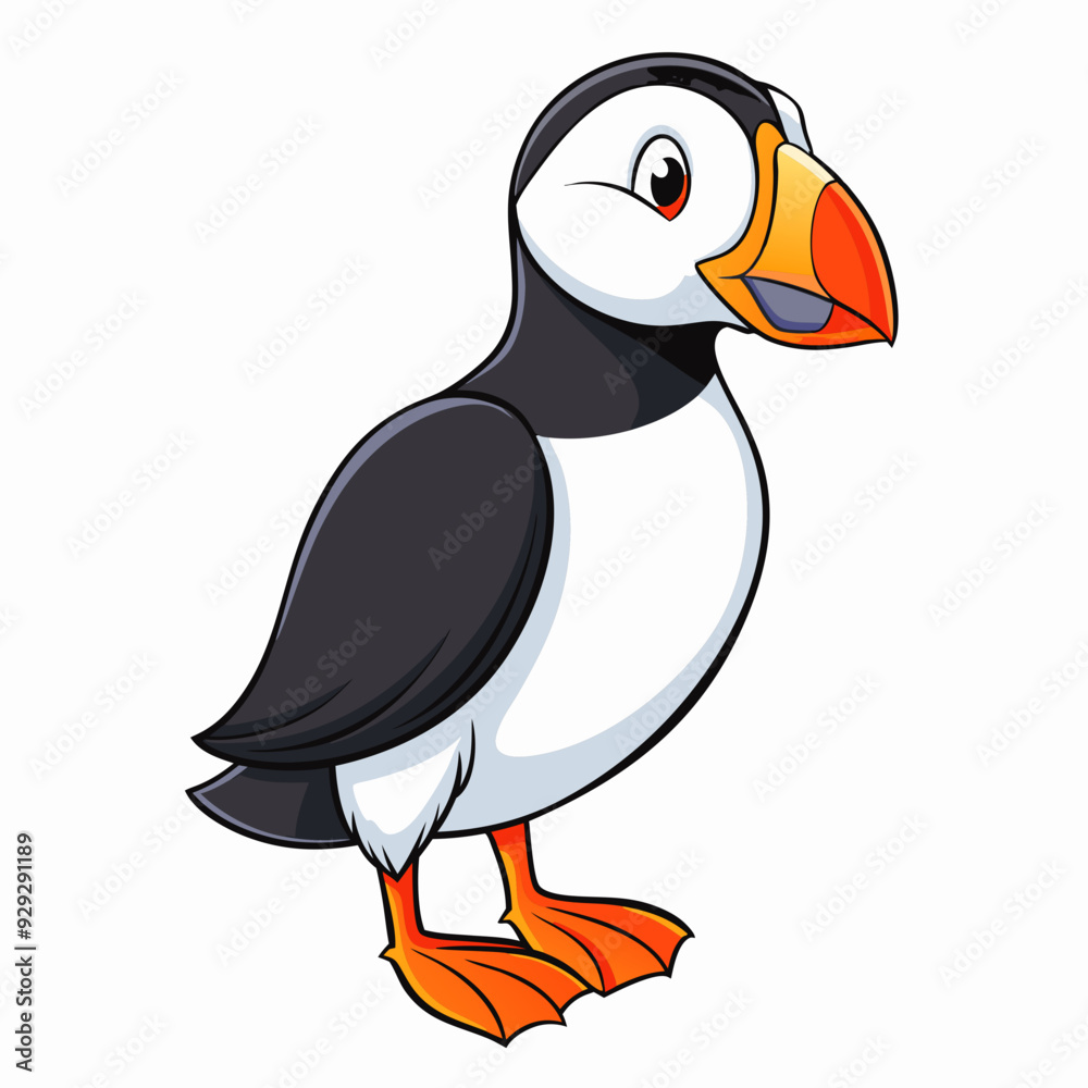 Puffin art vector illustration Puffin art vector illustration