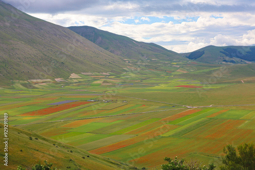 L'altipiano di Castelluccio di Norcia, Umbria, Italia, durante la fioritura dei campi di lenticchie, in una giornata con sole e nuvole di fine giugno 2024 photo