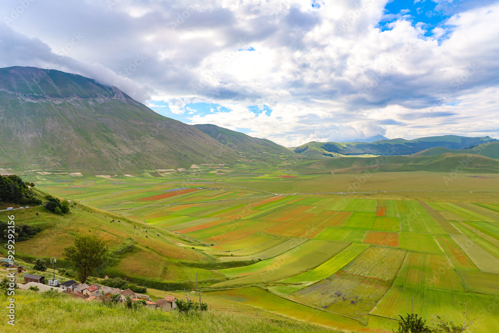 L'altipiano di Castelluccio di Norcia, Umbria, Italia, durante la fioritura dei campi di lenticchie, in una giornata con sole e nuvole di fine giugno 2024 L'altipiano di Castelluccio di Norcia, Umbria, Italia, durante la fioritura dei campi di lenticchie, in una giornata con sole e nuvole di fine giugno 2024