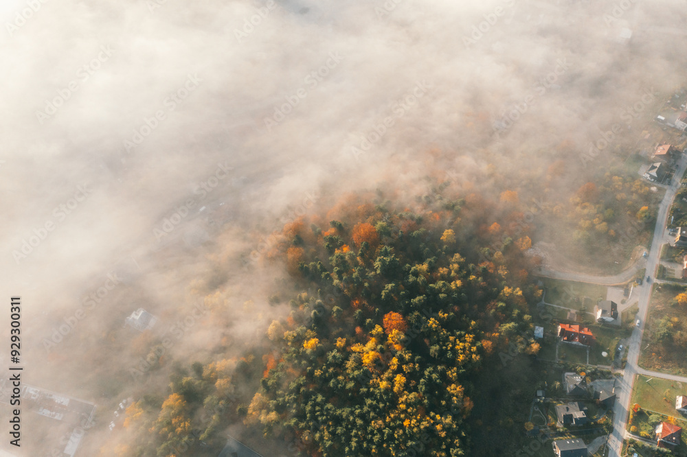 Aerial View of Foggy Autumn Forest and Suburban Area Aerial View of Foggy Autumn Forest and Suburban Area