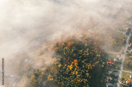 Aerial View of Foggy Autumn Forest and Suburban Area