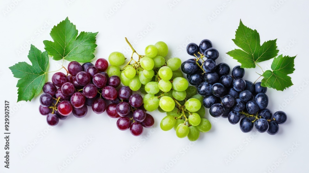 A vibrant display of assorted grapes in red, green, and black varieties, arranged with fresh green leaves on a light background. A vibrant display of assorted grapes in red, green, and black varieties, arranged with fresh green leaves on a light background.