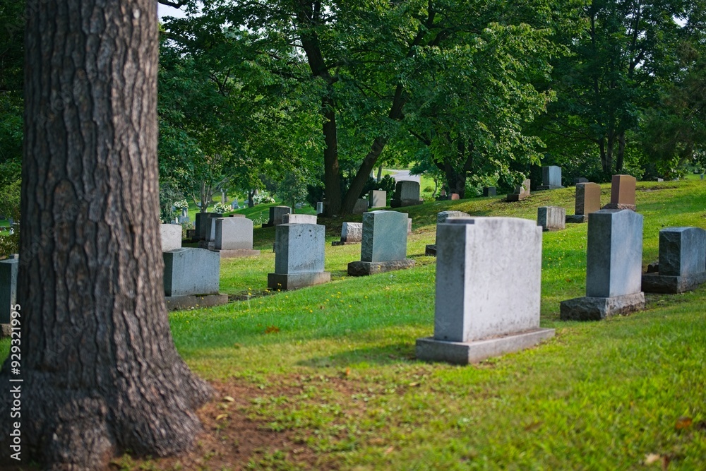 Serene Cemetery with Gravestones on a Hillside Serene Cemetery with Gravestones on a Hillside