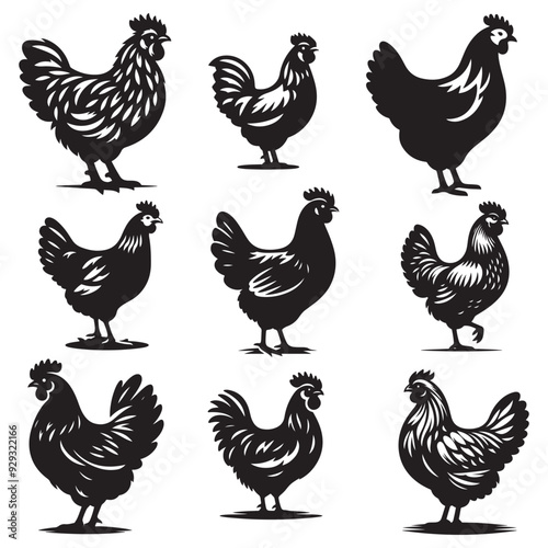 Chicken hen silhouette isolated on white background, Flat vector Farm Animal illustration