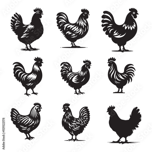 Chicken hen silhouette isolated on white background, Flat vector Farm Animal illustration