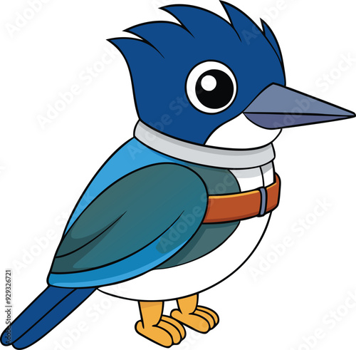 Belted Kingfisher on Vector Illustrator Design photo