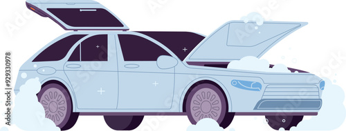 Professional car wash. Open auto with clean details