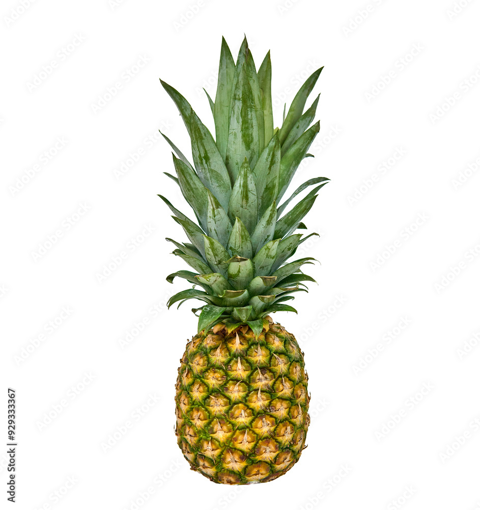 Whole fresh pineapple isolated on transparent background Whole fresh pineapple isolated on transparent background