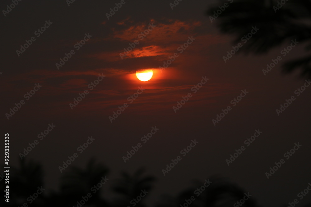 Dramatic Sunset Sky with Silhouetted Trees Dramatic Sunset Sky with Silhouetted Trees