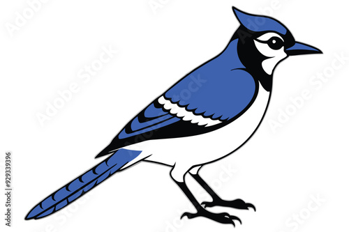 Blue Jay silhouette vector art illustration.