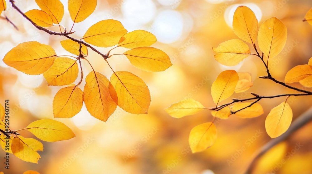 Vibrant Autumn Nature Background with Yellow Leaves Vibrant Autumn Nature Background with Yellow Leaves
