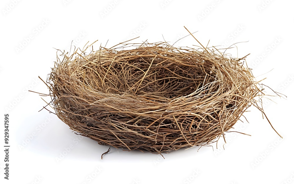 Empty bird's nest isolated on white background. Empty bird's nest isolated on white background.