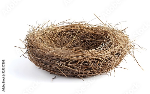 Empty bird's nest isolated on white background.