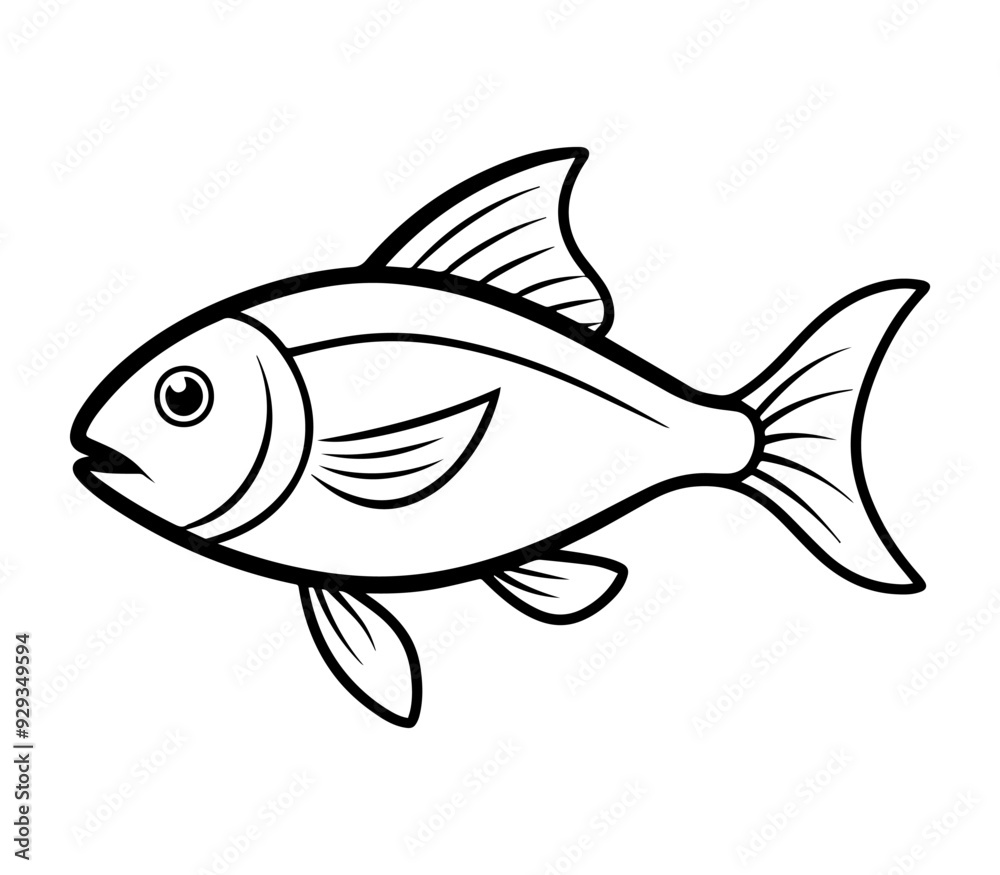 illustration of a fish illustration of a fish