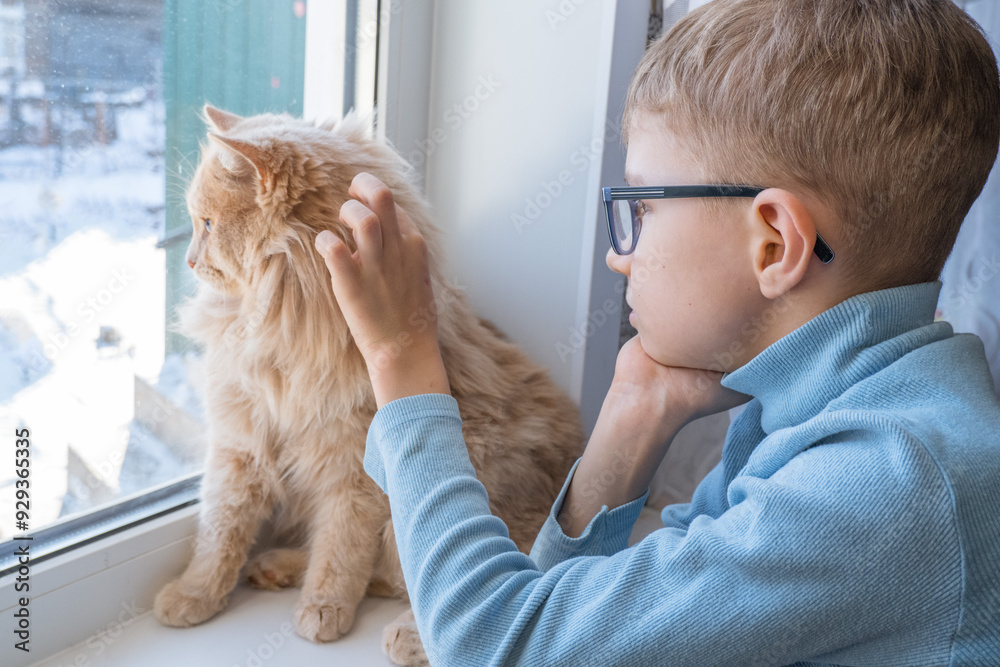 Beautiful scene two friends looking out fo window. Small boy with a cat stares out of window watching falling snow, focus on cat