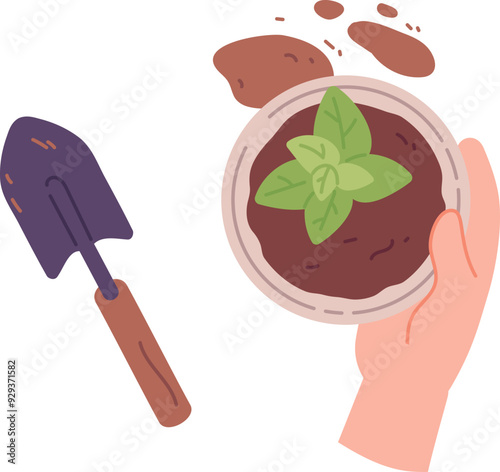 Planting houseplant in ceramic pot. Home garden work