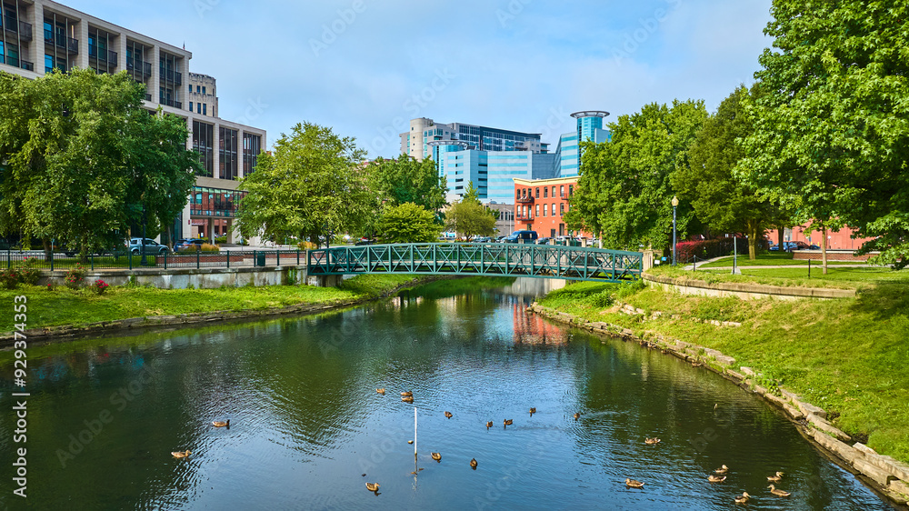 Aerial View of Kalamazoo Park Bridge and Ducks in Motion Aerial View of Kalamazoo Park Bridge and Ducks in Motion