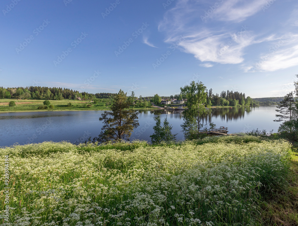 A beautiful lake with a lot of grass and trees in the background A beautiful lake with a lot of grass and trees in the background