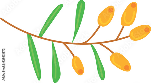 Sea buckthorns color icon. Wild tree berries