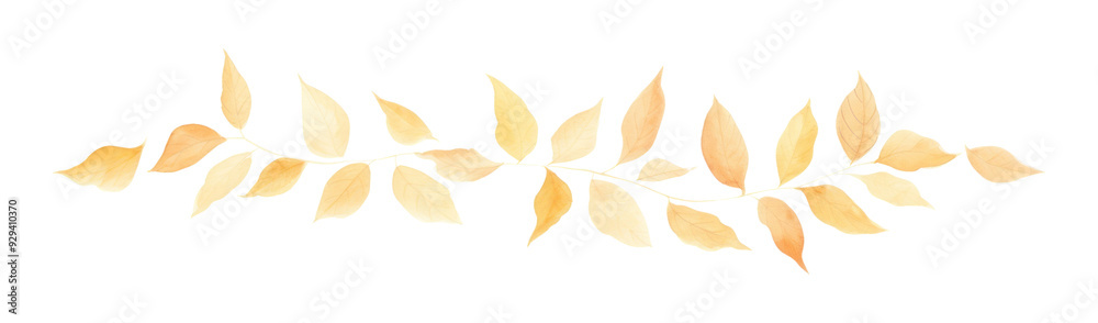 PNG Autumn leaves symmetric watercolour illustration backgrounds pattern plant. PNG Autumn leaves symmetric watercolour illustration backgrounds pattern plant.