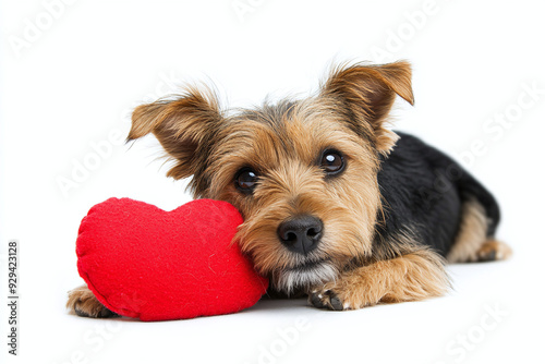 Heartworm Prevention isolated on white background