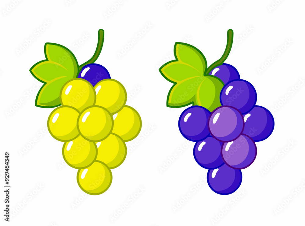 Green and blue red grape bunch stock illustration Green and blue red grape bunch stock illustration