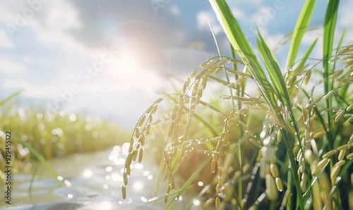 The natural view of the river with clear sky and rice plants beautifies nature Generate AI