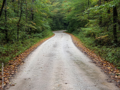 A road with a fence on the side and trees in the background