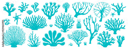 Isolated underwater sea coral reef and seaweeds algae, vector cartoon icons. Undersea and ocean underwater fauna and marine plants, abstract corals or actinia and tropical aquatic flowers