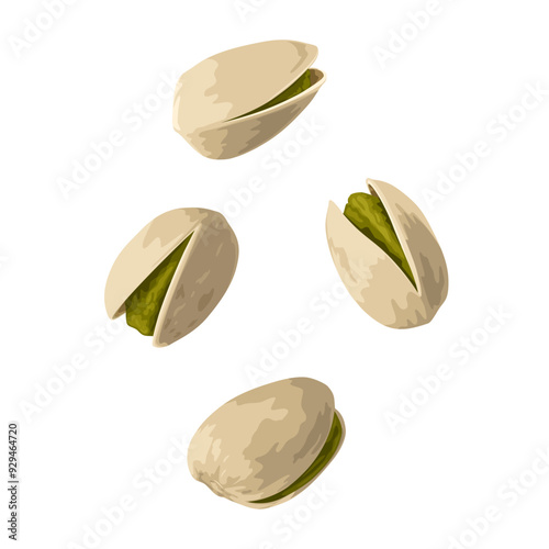 Vector illustration of pistachio nuts, isolated on white background.