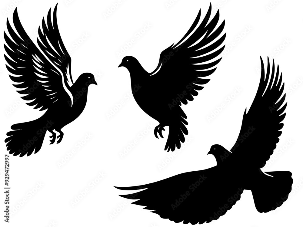 Dove vector illustration, silhouette of dove Dove vector illustration, silhouette of dove