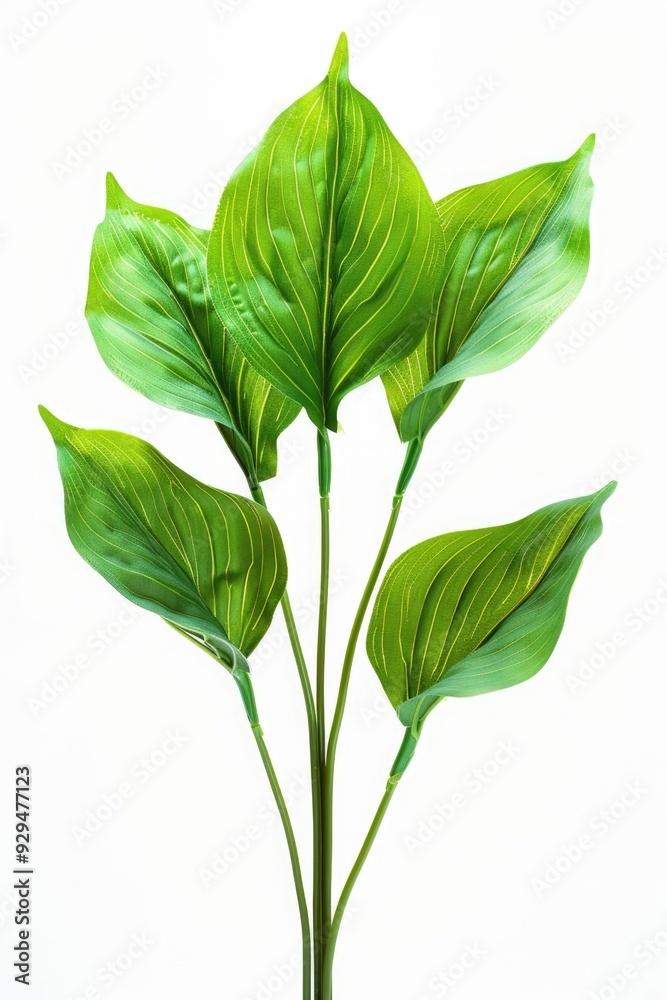 Obraz premium A close-up shot of a plant's green leaves, perfect for a botanical or nature-themed context
