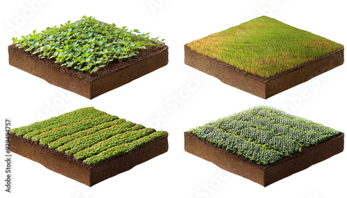 Set of 3d piece of land with soybean plantation on transparency background PNG