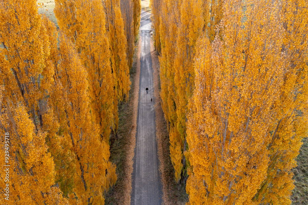 Naklejka premium Aerial view, Autumn Colours, Australia