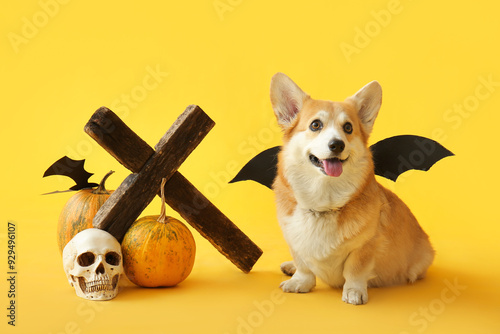 Cute Corgi dog in bat wings with Halloween decorations sitting on yellow background photo