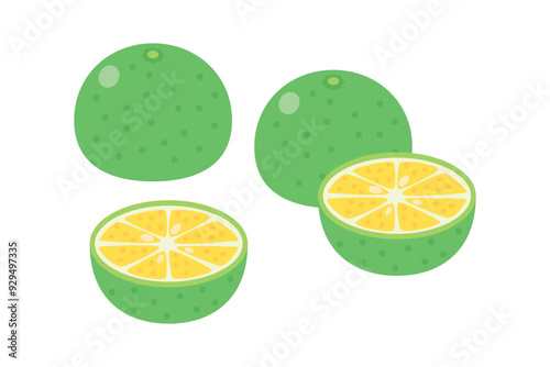 マンゴーのイラスト