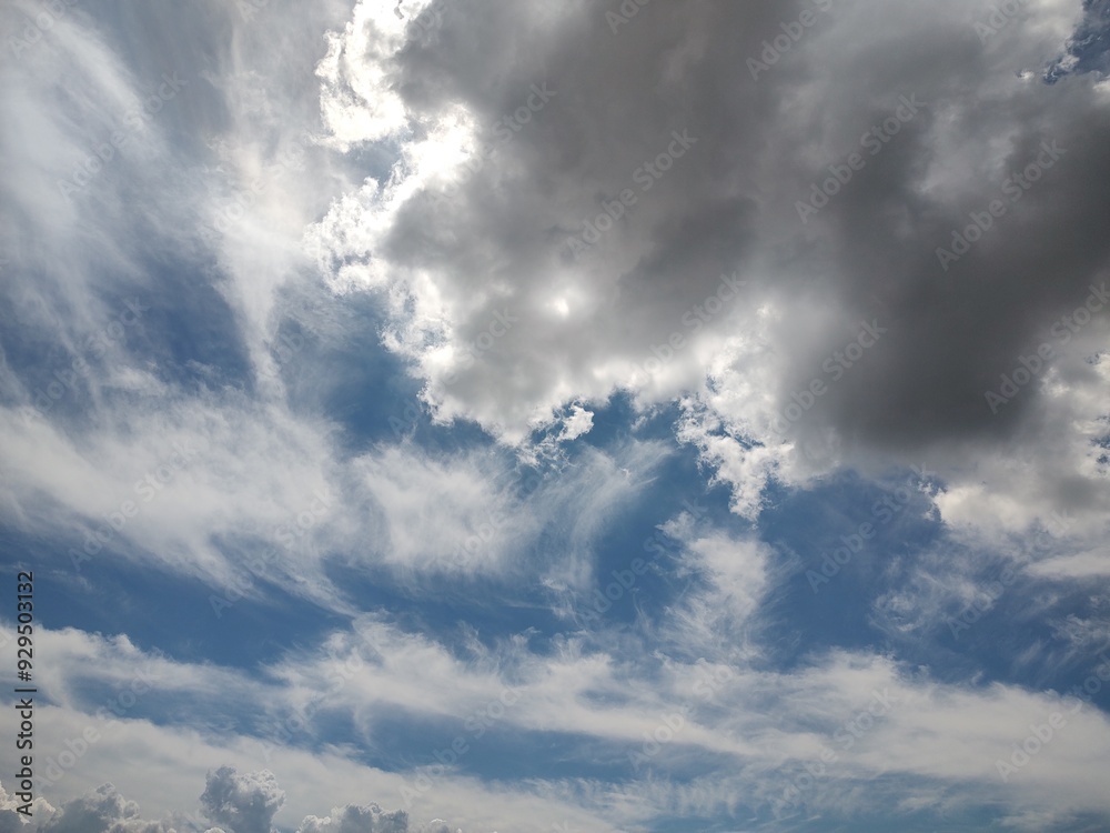 Obraz premium 東京のそら(24.8.15)