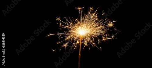 A Single Burning Sparkler on a Black Background