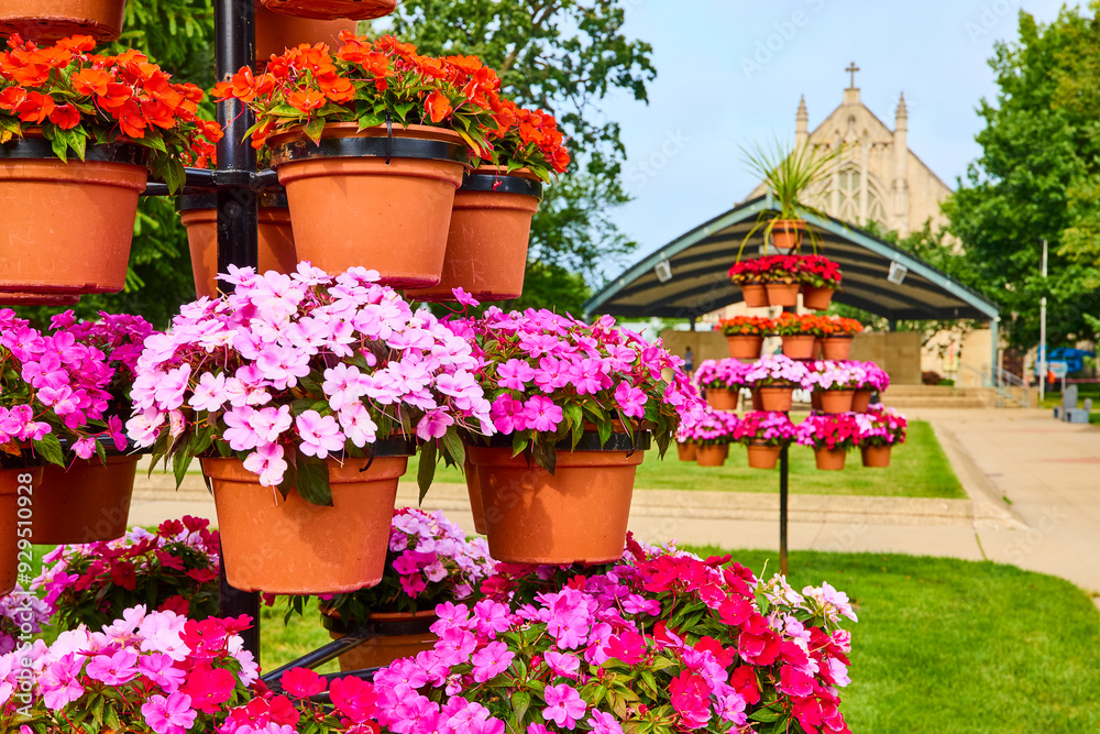 Vibrant Potted Flowers in Church Garden Eye-Level View Vibrant Potted Flowers in Church Garden Eye-Level View