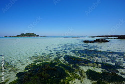 mossy rocks in the sea and far island