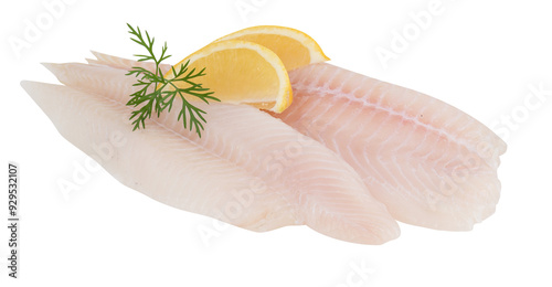 Fresh sea bass fillet cut out isolated transparent background