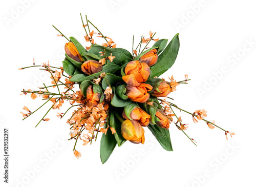 Tulip orange bouquet, top view cut out isolated transparent background