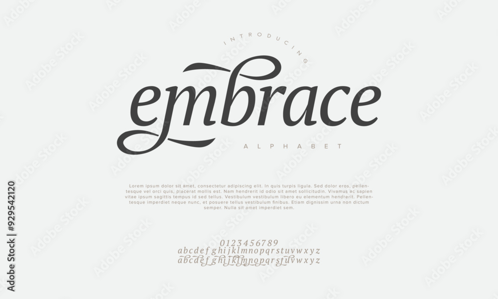 Embrace swash luxury elegant alphabet letters and numbers. Vintage wedding typography classic serif font decorative vintage retro. creative vector illustration Embrace swash luxury elegant alphabet letters and numbers. Vintage wedding typography classic serif font decorative vintage retro. creative vector illustration